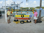 Green Turtle welcoming us