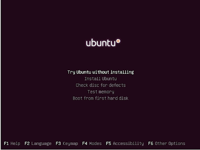 installing ubuntu 13.04 _1