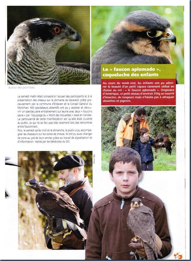 ARTICLE CHASSE EN MORBIHAN 001