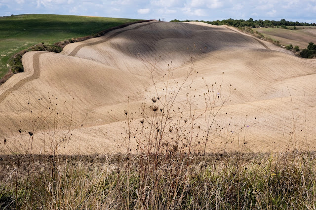 ploughed field, Tuscany, border pattern