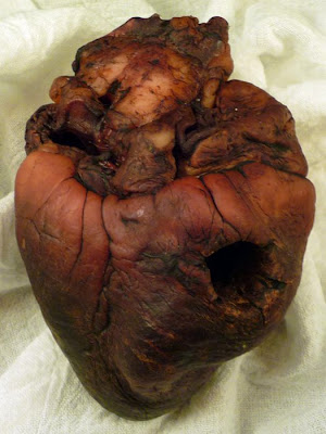 [Image: mummified_vampire_heart_05.jpg]