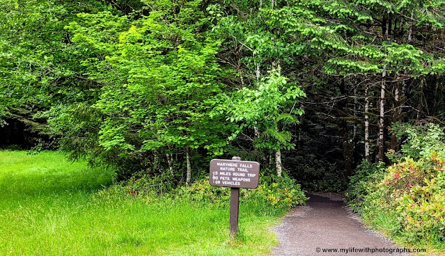 Information sign and the start of nature trail to Marymere Falls