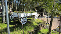 Flores da Cunha, Serra Gaúcha