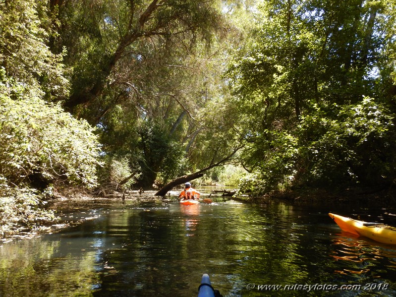 Kayak río Palmones