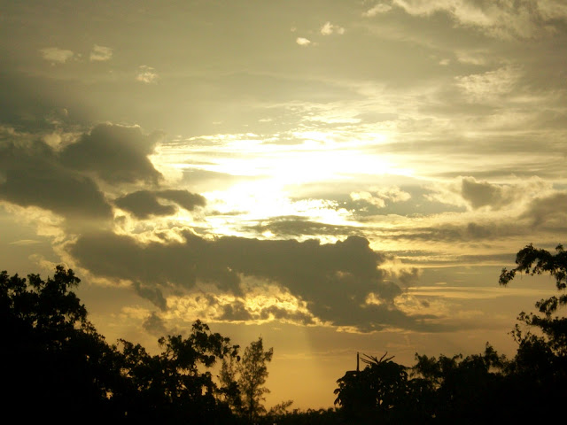 warm,sunset,photo