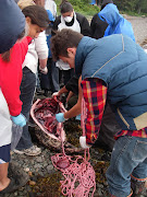 Tuesday, June 15, 2010 (seal butchering auke rec )