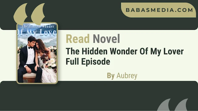 Cover The Hidden Wonder Of My Lover Novel By Aubrey