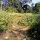 View album