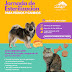 IXTENCO IMPULSA JORNADA DE ESTERILIZACIÓN CANINA Y FELINA