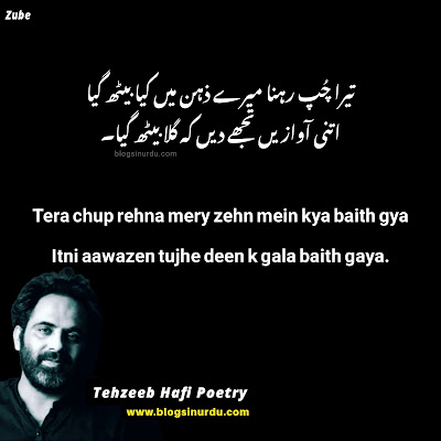 Tehzeeb Hafi Poetry