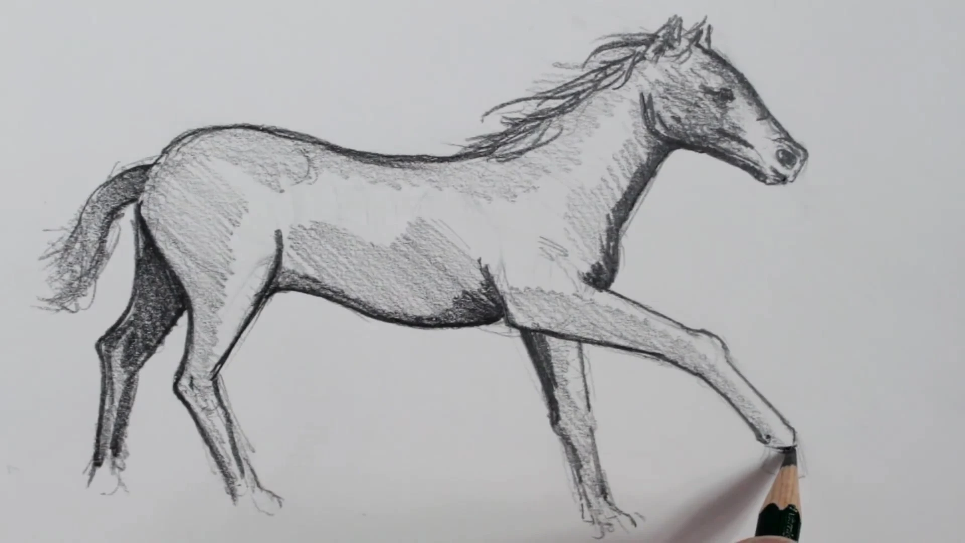 رسم حصان بالرصاص
