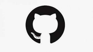 Github, Vimeo released but 28 websites still blocked; CERT-In director elaborates on the reason behind blocks