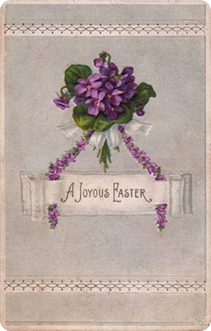 1violets009