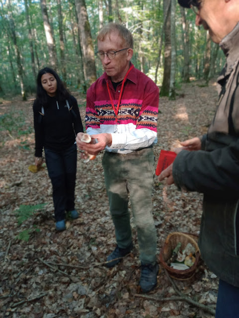 Mycology expert Didier Raas talking about Russula vesca on a field outing, Indre et Loire, France. Photo by Loire Valley Time Travel.