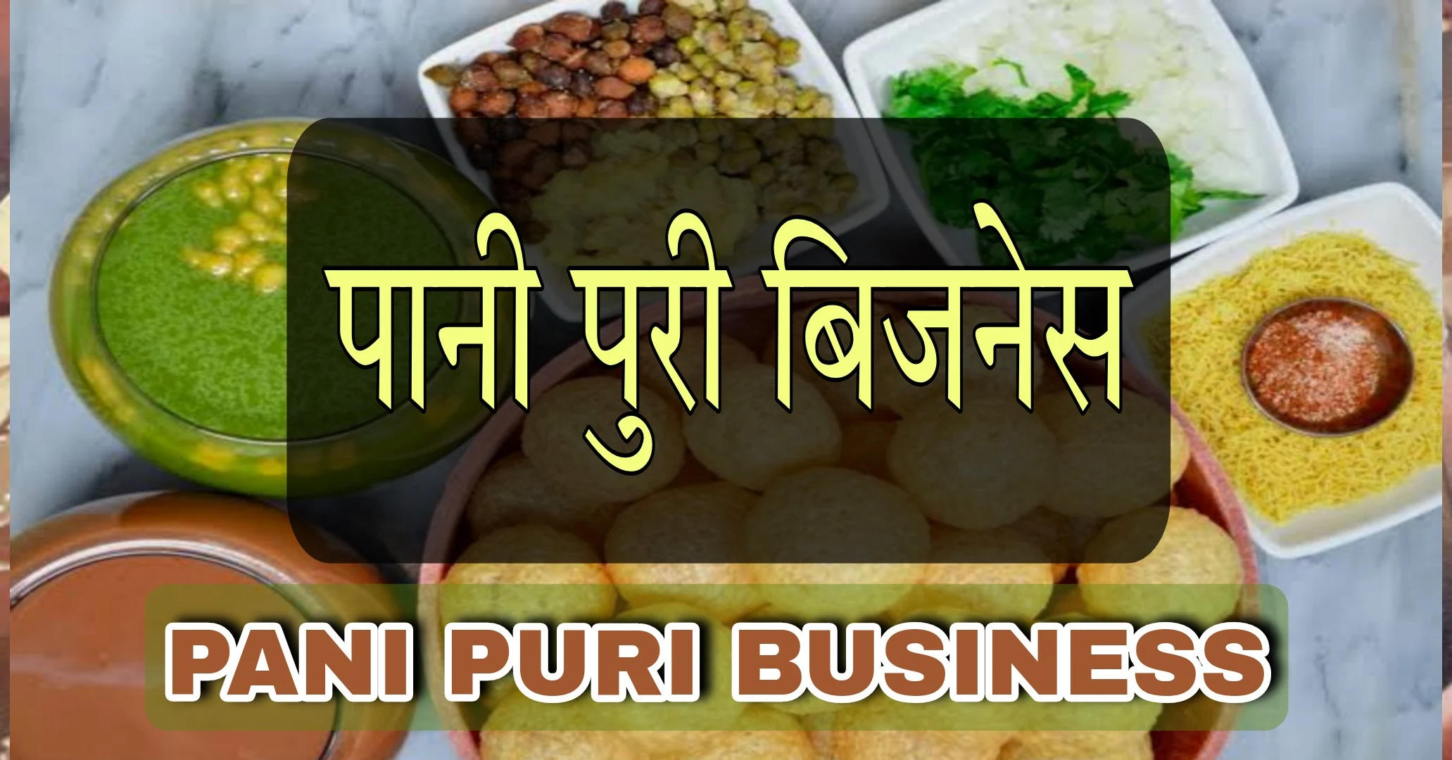 PANI PURI KA BUSINESS KAISE KARE