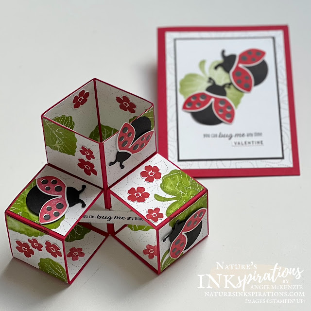 Hello Ladybug Triple Pop-Up Cube Card (with card inspiration) | Nature's INKspirations by Angie McKenzie