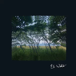 Eli Winter - Eli Winter Music Album Reviews