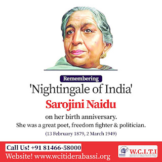 Birth anniversary tribute to Nightingale of India