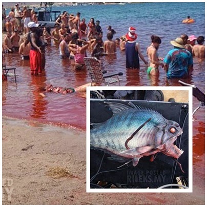 Ikan  Piranha  Makan  Manusia Yang Mengerikan 5 Gambar 