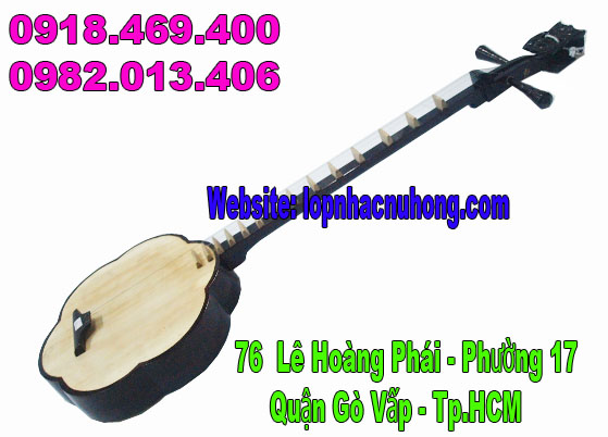 guitar binh tan 2