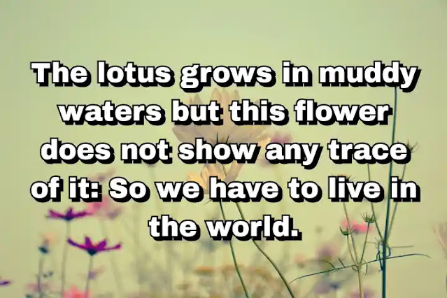 "The lotus grows in muddy waters but this flower does not show any trace of it: So we have to live in the world." ~ B.K.S. Iyengar