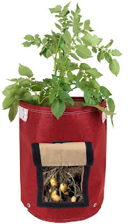 Bloembagz Potato Planter, This Fabric Bag Allows You To Harvest Your Potatoes Beneath The Soil, Without Digging