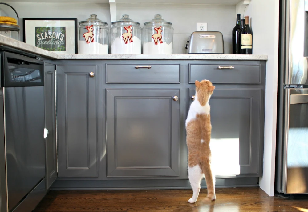 two toned cabinets kitchen