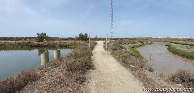 Ruta de los Esteros (Chiclana)