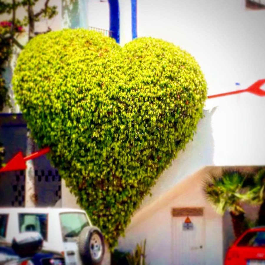 David Bisbal, corazon atravesado en La Herradura, Granada, verano 2015