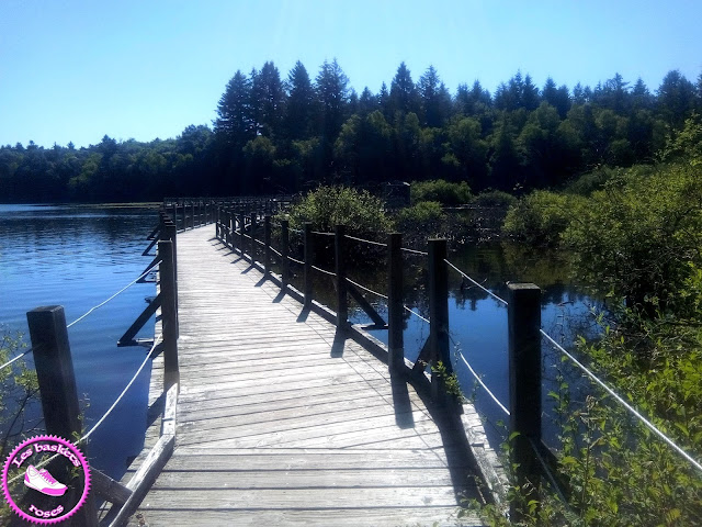 passerelle