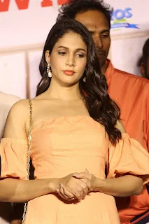 Actress Lavanya Tripathi Stills Arjun Suravaram Movie Success Meet