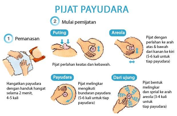 Pijat Payudara Untuk Mengeluarkan Asi - Pijat C