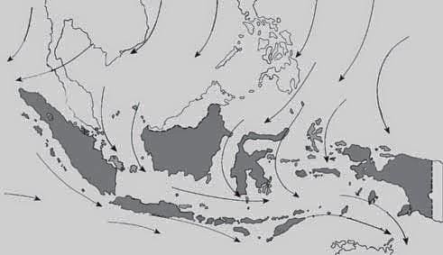 Soal Kondisi Fisik Wilayah dan Penduduk Indonesia IPS 