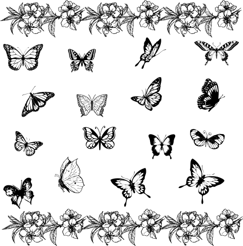 butterfly tattoo designs black and white
 on Posted by Alex Matoshko at 9:16 AM 3comments