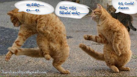 Sinhala jokes | Sinhala SMS