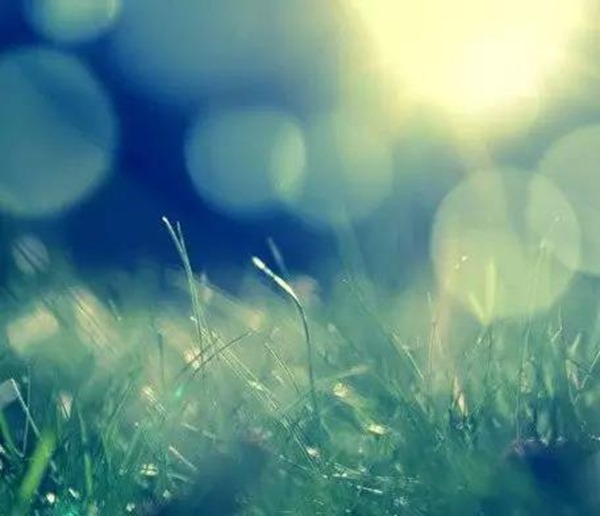 clip_image002[4]