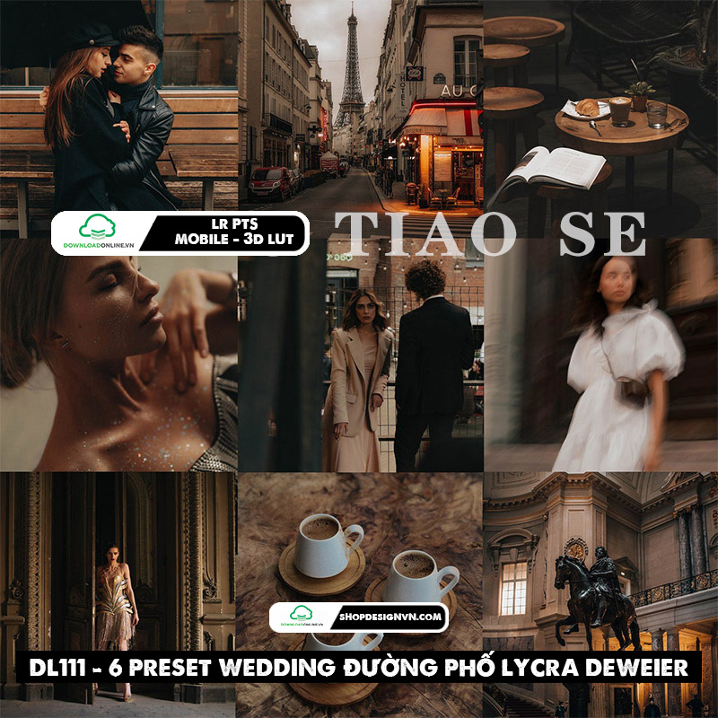 DL111 - 6 PRESET WEDDING ĐƯỜNG PHỐ LYCRA DEWEIER