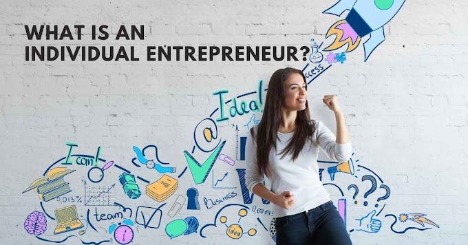 What Is An Individual Entrepreneur?