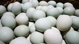  Warga Brebes Sumbang 10 Ribu Telur Asin di JIS