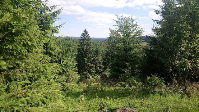 Sauerland wandern Wetter blog Schmallenberg Winterberg kahler Asten