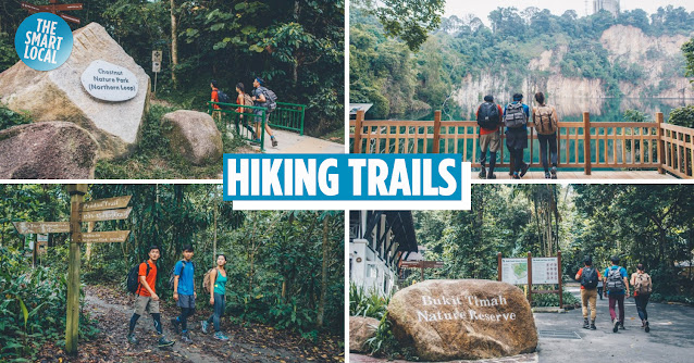 Bukit Timah Nature Reserve Singapore