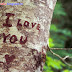 I Love You on Tree Wallpaper