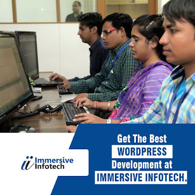 Web Development Company India -  Immersive Infotech