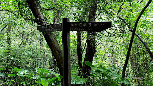 waterfall trail taiwan