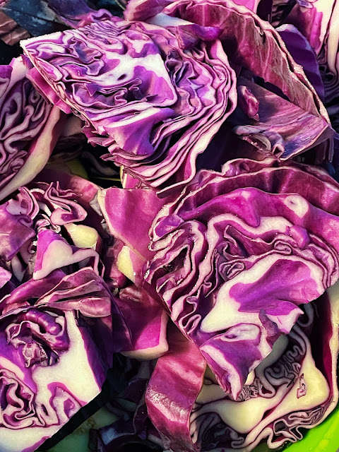 photo of purple cabbage