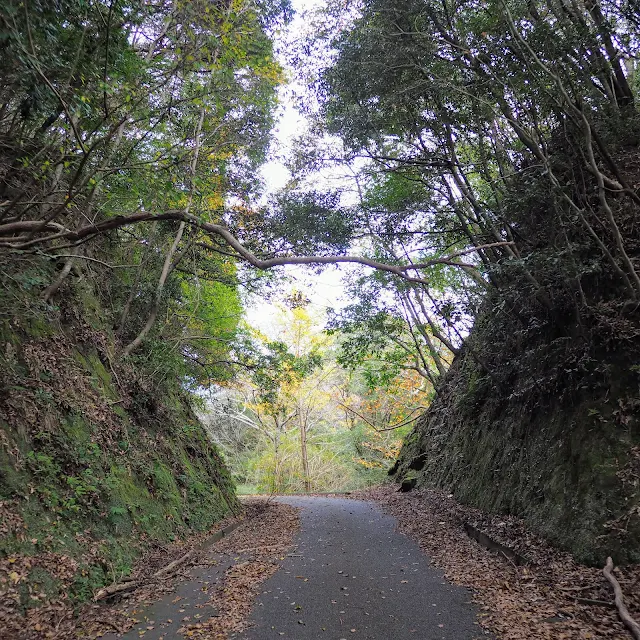 林道内浦山線