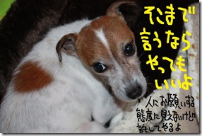 今日カズ１０１１３０　３