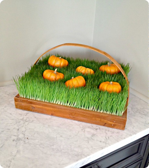pumpkin patch craft