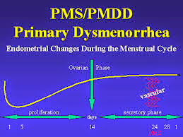 Indicators Connected With PMDD