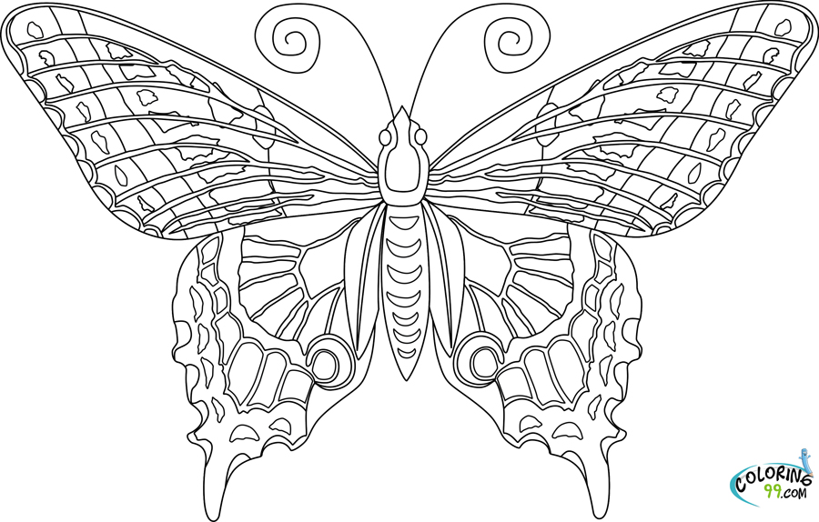 Butterfly Coloring Pages | Team colors